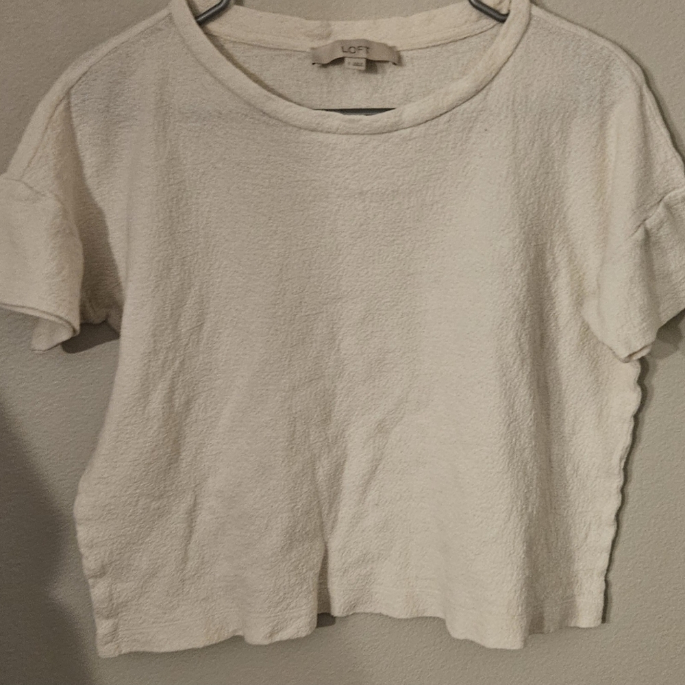 LOFT Women's Cream Short Sleeve Crop